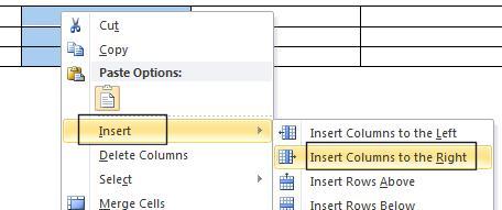 Click on the Insert command and you will see a submenu displayed, as illustrated. You can insert a column to the left or to the right of the column you selected.