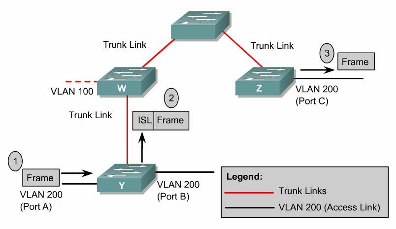 . Trunking operation or 802.1Q Trunking protocols were developed to effectively manage the transfer of frames from different VLANs on a single physical line.