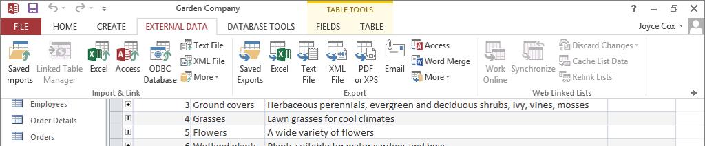 14 Click the External Data tab to temporarily display the full ribbon, which drops down over the table.