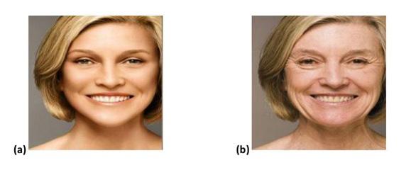 Image Forgery using Splicing Figure 3. [26] (a) The real image (b)result of image retouching Image splicing uses cut-and-paste system from one or more images to create another fake image.