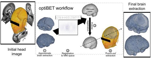 optibet Standard available tools http://montilab.psych.ucla.
