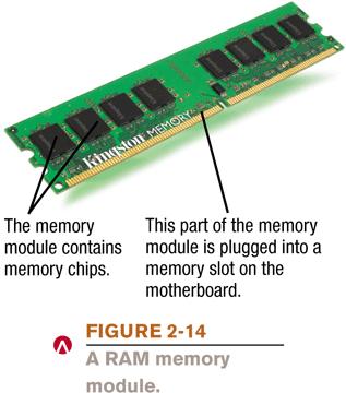 Memory Consists of circuits etched onto chips arranged onto circuit boards called memory modules Capacity is measured in bytes PCs must have enough RAM to run the necessary applications, as