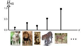 A fuzzy set may be discrete or continuous, for example: Universe of discourse: cat species families, X = { cat, lion, tiger, leopard, cheetah } and the associated fuzzy set HS for animals with