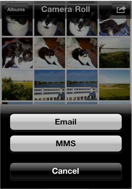 Choose MMS and the pictures will appear in the