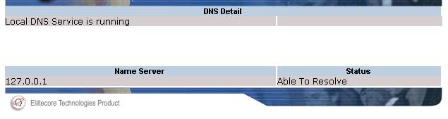 Use to check the DNS status Status Critical if not able to resolve Warning if the local DNS is down
