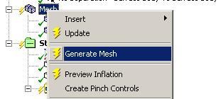 Review the mesh: RMB>Generate Mesh The