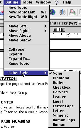 PAGE ORIENTATION To change the page direction from Portrait to Landscape Go to File ~ Page Setup RETURN vs. ENTER Pressing Return takes you to the next line in your document.