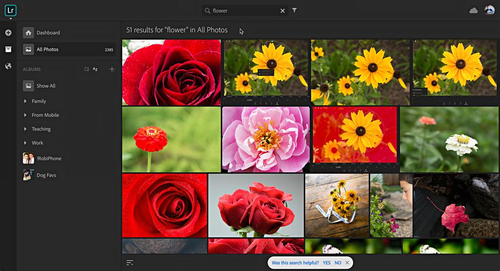 Now that you ve got a good foundation on everything included in Lightroom CC on the web, let s take a look at how the sharing aspects function.