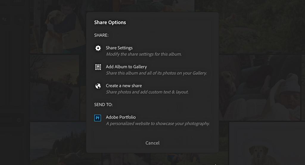 you want to modify existing share options for a given shared album.
