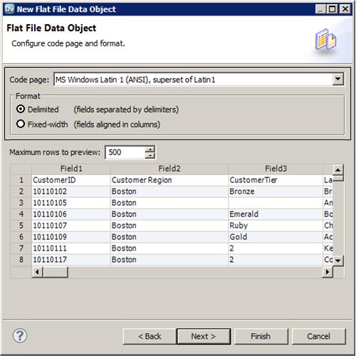 The New Flat File Data Object dialog box shows the default code page, the format, and a preview of the flat file data.