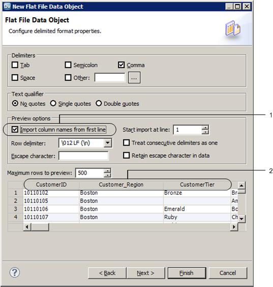 The New Flat File Data Object dialog box shows the column names in the preview of the flat file data. 1.