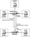 Scenario 3 3: VTP Pruning In the previous scenario, the list of allowed VLANs is configured manually.