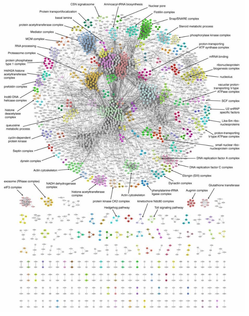 Figure 2.9: A graphical visualization of the protein-protein interaction network of Drosophila Melanogaster, reused from [18] with permission.