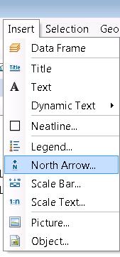 Add a north arrow to the page by navigating to the Insert menu and clicking North Arrow.