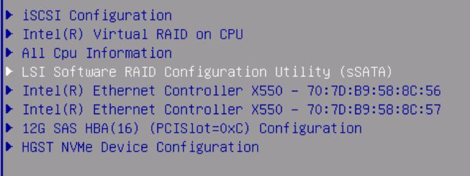 Select LSI Software RAID Configuration Utility (ssata) and press