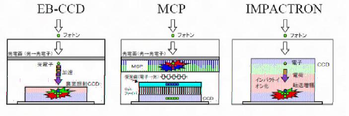 Comparison among EB-CCD, MCP and NAC MLX EB-CCD MCP NAC MLX Photon Photon Photon Photocathode Photocathode Photoelectron accelerate EB-CCD MCP Phosphor Screen Optical Electron Impact Ionization CCD