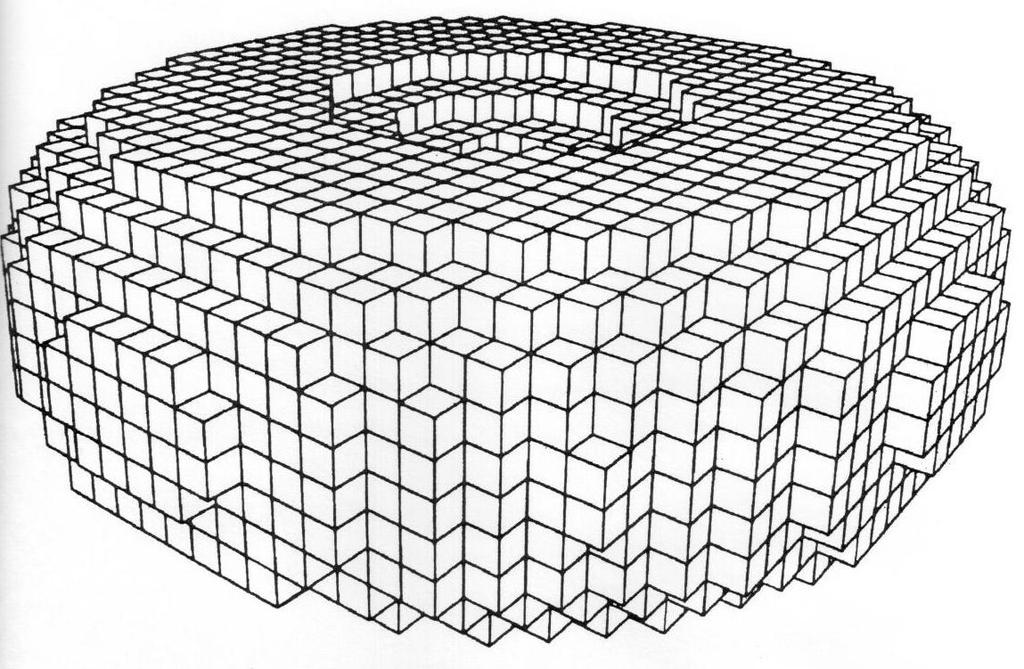 Figure 3: A voxel grid model of a donut. (2) Voxel grid. A voxel grid represents an object using a 3D grid of cells. Each cell is called a volume element (voxel) and models a small cube of space.