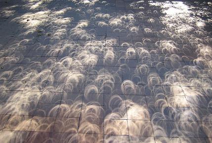 Pinhole cameras are everywhere Tree shadow during a solar eclipse photo