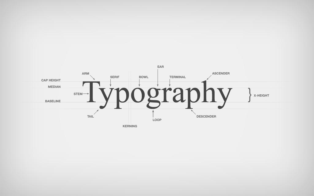 ANATOMY The different letterforms within a typeface share a few common Rounded letters sometimes sit just a tiny bit under the baseline, and characteristics.