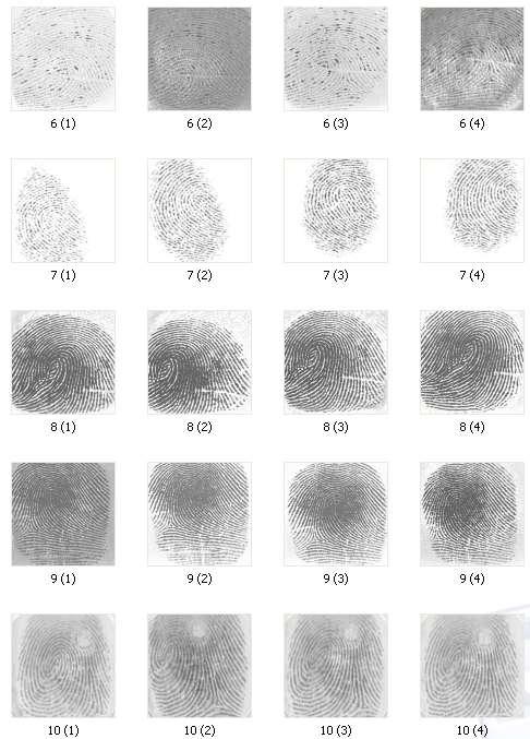 Figure : Samples of the training set Figure : Samples of the testing set As part of the training phase, 4 images of each class are read sequentially and their feature vectors are computed according