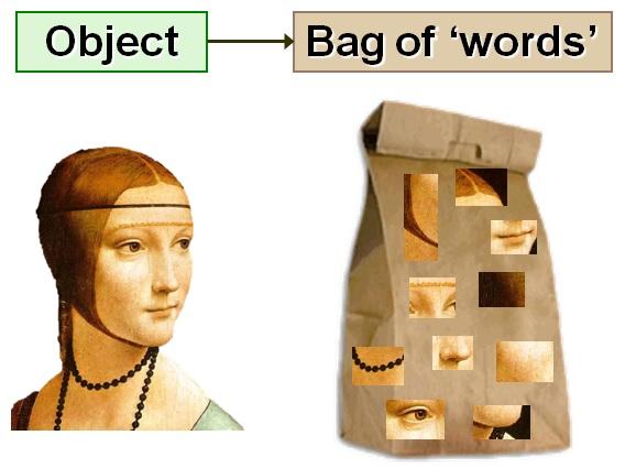 Visual Bag of Words A visual bag of words is where an image is broken down into its component regions of interest (ROI) in an image (words) and stored