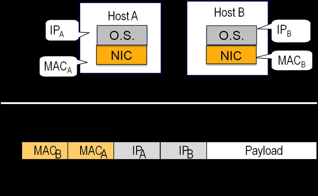 4. IP and MAC Addresses When hosts A and B are in the same physical network, the relationship between MAC and IP addresses is one to one.
