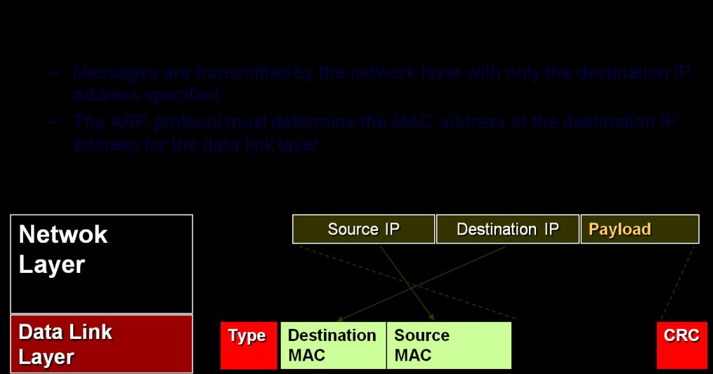5. Address Resolution Protocol - ARP The ARP (Address Resolution Protocol) is used for MAC-to-IP address resolution.