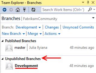 4. Note that the new branch was created locally and has not been published to the server.
