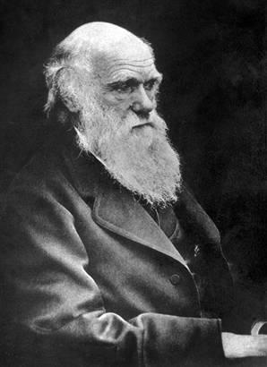 Nice to Meet You Darwin s work significantly influenced science. Students in these fields would be hard-pressed to set up a meeting with him today.
