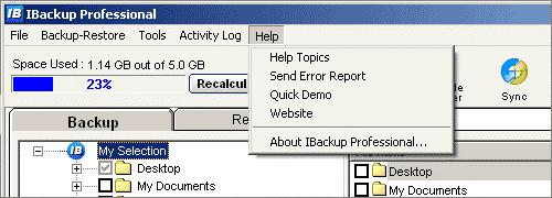 Help Help menu consists of the following options: Help Topics This lets you open the IBackup Professional help file. Send Error Report This lets you contact the support team via email for any queries.