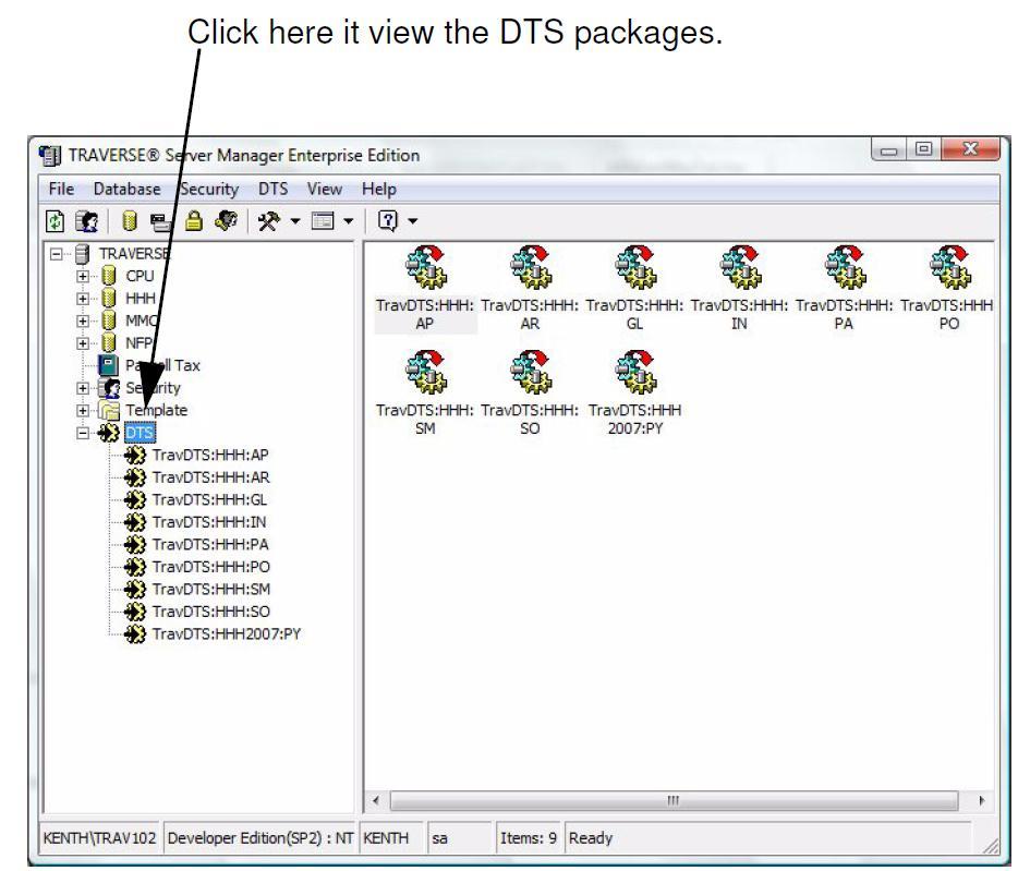 The DTS Package naming convention is TravDTS, a colon, the database name (for example, RTW), another colon, and the Application ID (for example, FA for Fixed Assets): TravDTS:RTW:FA.