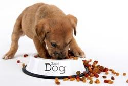Hacker's Tip of the Day Eat your own dog food Use the programs you write You'll