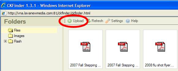 pdf) Click on the icon, select URL from the Link Type dropdown menu, and then click the Browse Server button.