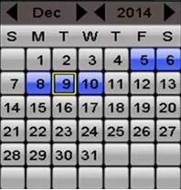 Figure 7-3 Playback Calendar NOTE If there are record files for that camera in that day, in the calendar, the icon for that day is displayed as.