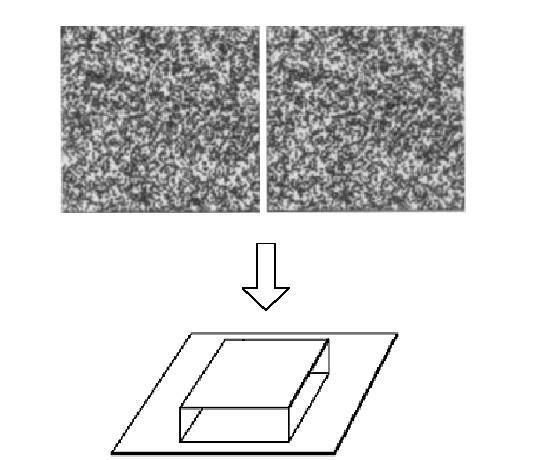 Random dot stereograms Random dot stereograms When viewed monocularly, they appear random; when viewed stereoscopically, see 3d structure.