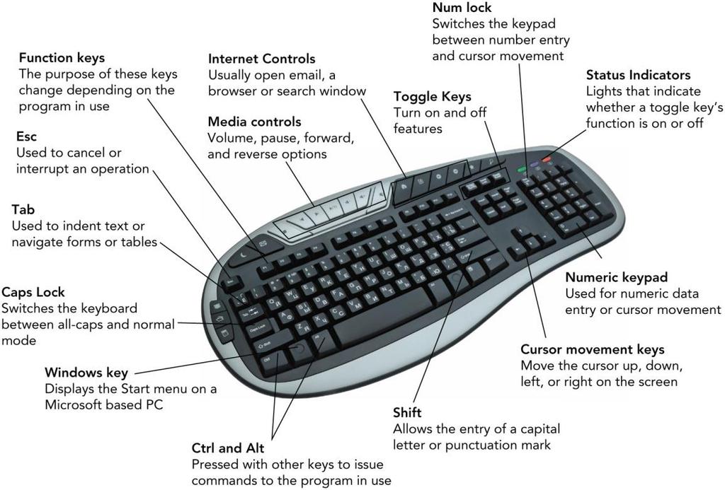 Recognize Input Devices Advanced Keyboards include a number pad and special keys to