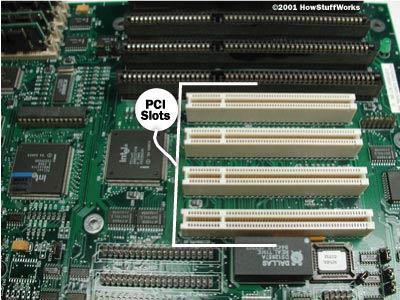 Identify Components of the Motherboard Peripheral component interconnect bus PCI A slower bus connecting