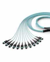 EDGE8 Trunks EDGE8 MTP trunks are pre-terminated cables with ultra-low-loss 8-fibre MTP connectors with pins on both ends.