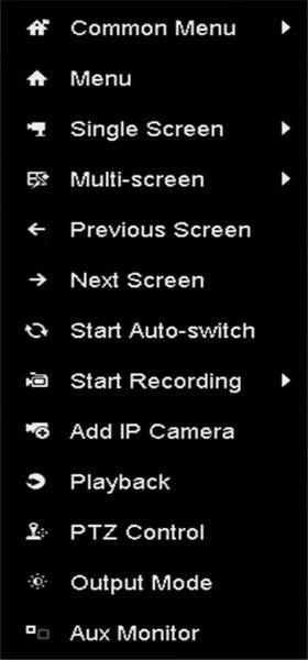 Single Screen Multi-screen Previous Screen Next Screen Start/Stop Auto-switch Start Recording Add IP Camera Playback PTZ Output Mode Aux Monitor Switch to the single full screen by choosing channel