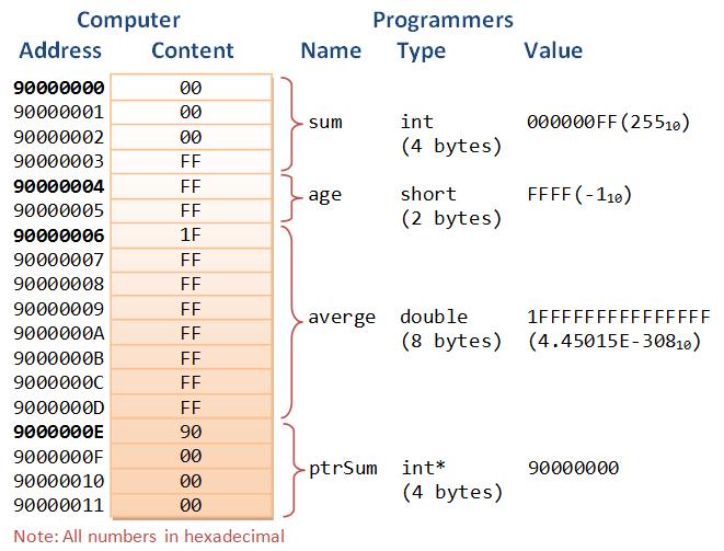Bytes Memory as Array Byte = 8 bits Which can be represented in various forms: Binary: 00000000 2 to 11111111 2 Decimal: 0 10 to 255 10 Hexadecimal: 00 16 to FF 16 Base 16 number representation Use