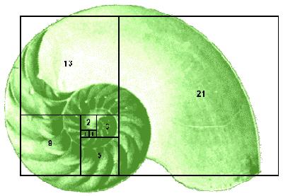 Fibonacci Sequence public static int fib(int n) { if