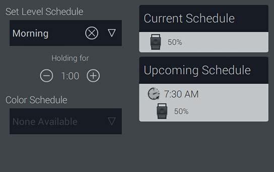Select the schedule to which the load will be added or remove as desired. 8.