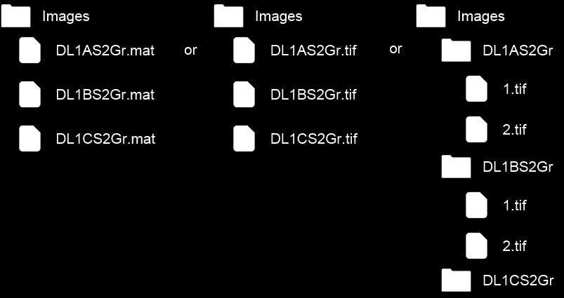 Figure 1: Compatible image stack file formats and naming conventions Traces Traces of axons are expected to be in the.