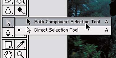 288 STEP 4: The Path Component Selection tool is for selecting and moving entire paths, and the Direct Selection tool is for selecting and moving parts of paths.