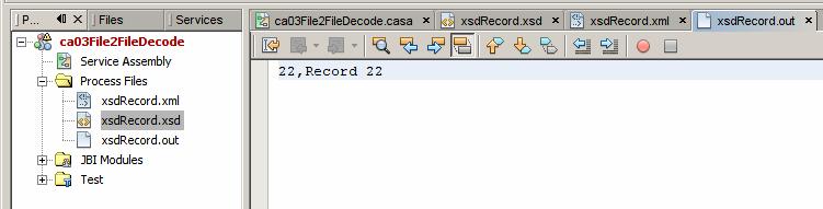 In our example the test process produces a text file named xsdrecord.out in the same directory as the XSD file. Figure 3-15 highlights the object and shows the content of the encoded file.