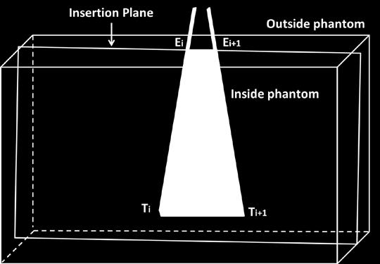 The speed of insertion was defined as the ratio of the path to the total time inside the phantom.