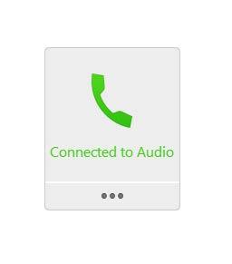 As calling in via a phone, a new participant will appear as a Call-in User. Your call and your host / presenter presence in the WebEx meeting requires sync ing. 2.1.