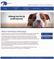endoscopy in veterinary medicine