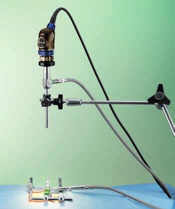 VITOM Visualization System for Endoscopy in Open Surgical Procedures in Veterinary Medicine