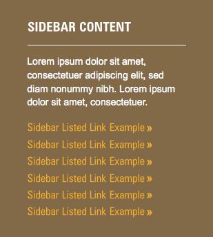 22 Inside Page - Sidebar The left sidebar of the inside PAGE template has optional areas. If no content is entered for those areas the boxes will not appear.